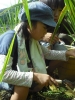 RSDSCF0981.jpg