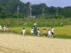 RSP1050756.jpg