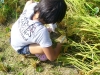 RSP1050730.jpg