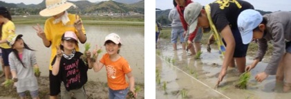 taue4.jpg