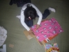 P1010669.JPG