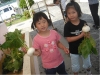 DSCF0155.JPG