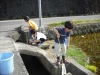 DSCF0110.JPG