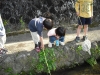 DSCF0103.JPG