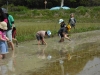DSCF0074.JPG