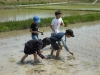 DSCF0081.JPG