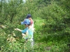 RSDSCF0460.jpg