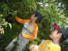 RSDSCF0505.jpg